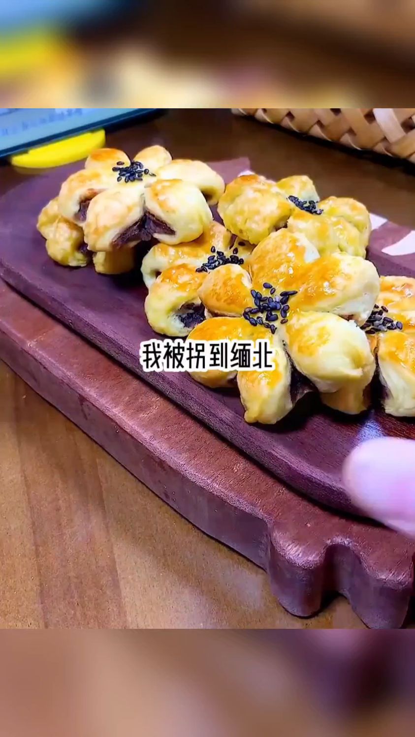 被拐之活体肉莲