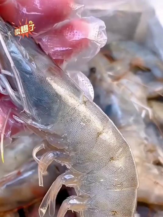 厄瓜多尔盐冻大虾 鲜度和口感双在线