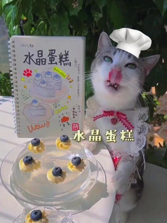 超级适合小仙女吃的水晶蛋糕,男孩子快学起来