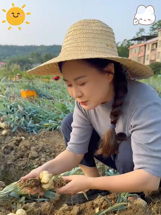 百合是天然的碱性食物可以用来煲汤煮粥都不错呦老人孩子都可以吃#百合干#