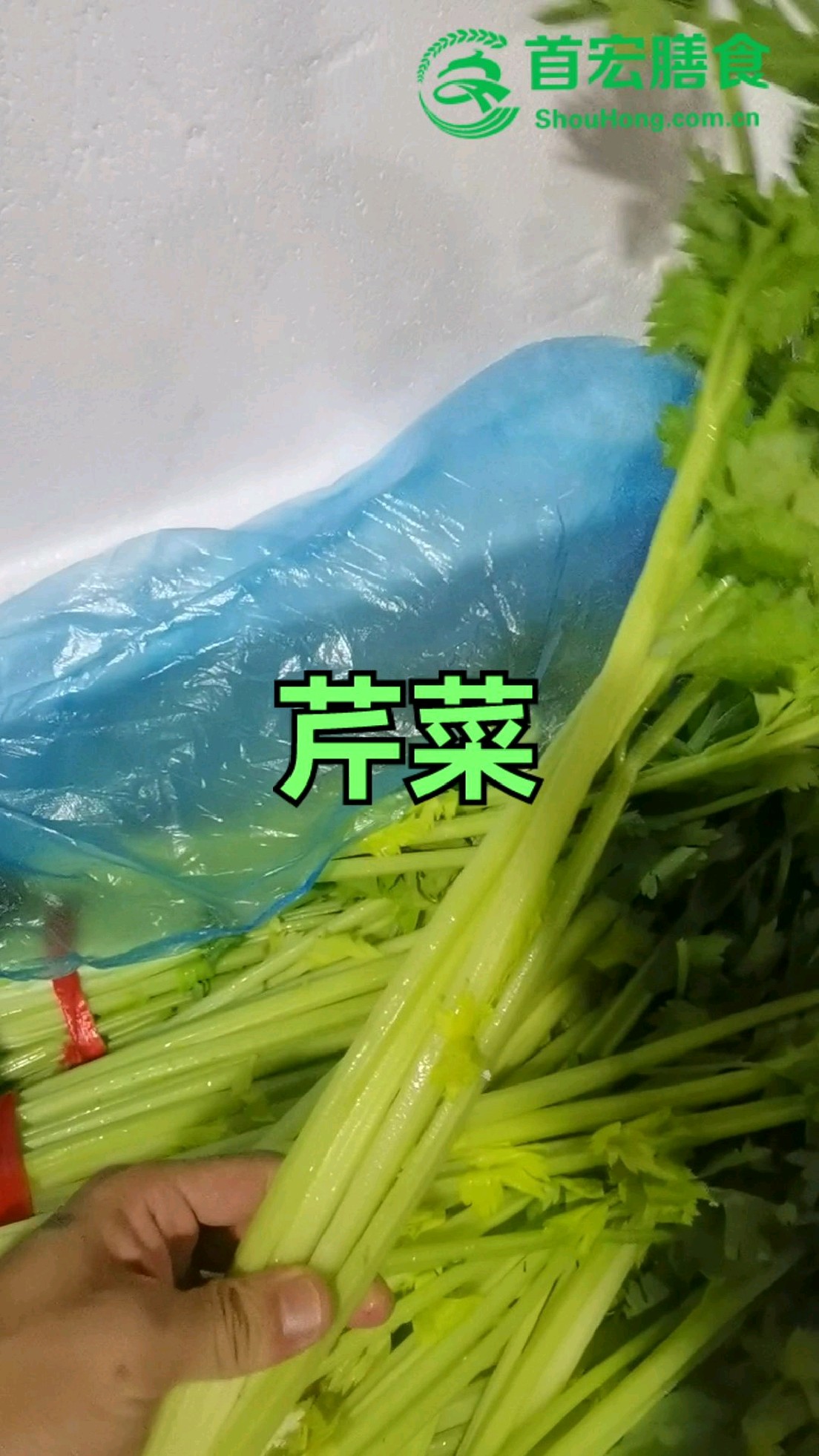 半成品食材配送,常用配送品类中的芹菜