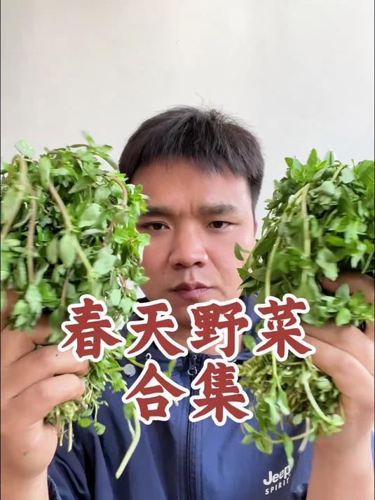 云南春天不能错过的30种野菜
