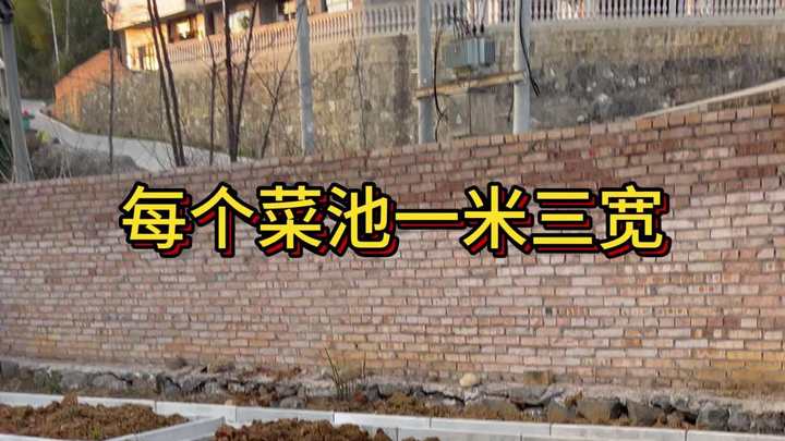 有个让邻居眼红的菜地是种什么样的体验?