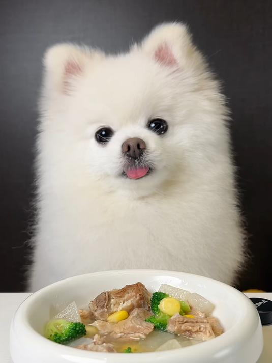 今天吃 白萝卜排骨汤 大家想看的喝汤来啦~