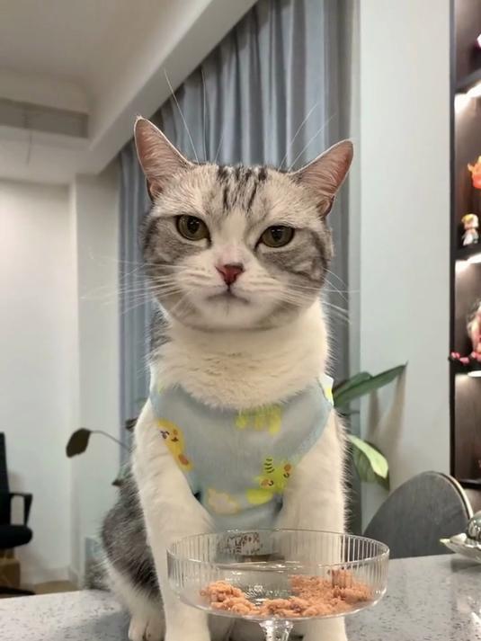 泡芙和多多久别重逢！这次两个小可爱超和谐，画面软萌到心化