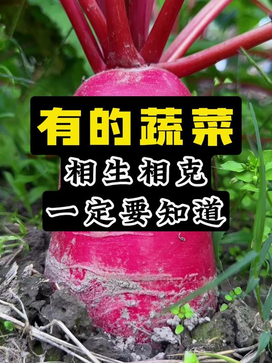 有的蔬菜相生相克一定要知道