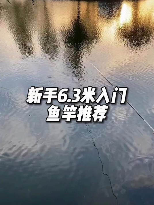 新手6.3米入门鱼竿推荐