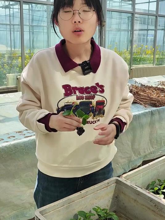 黄瓜都有哪些品种你知道吗 蔬菜种植