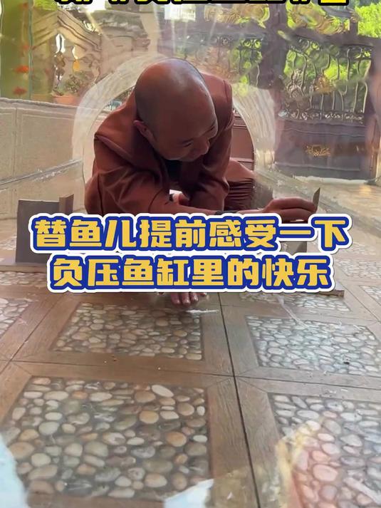 大鱼缸来啦,带大家沉浸式体验自己动手制作新“负压鱼缸”过程