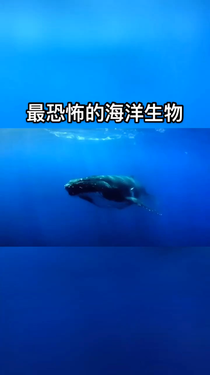 【世界之最】隐藏在深海下的恐怖海洋生物,看了让人头皮发麻