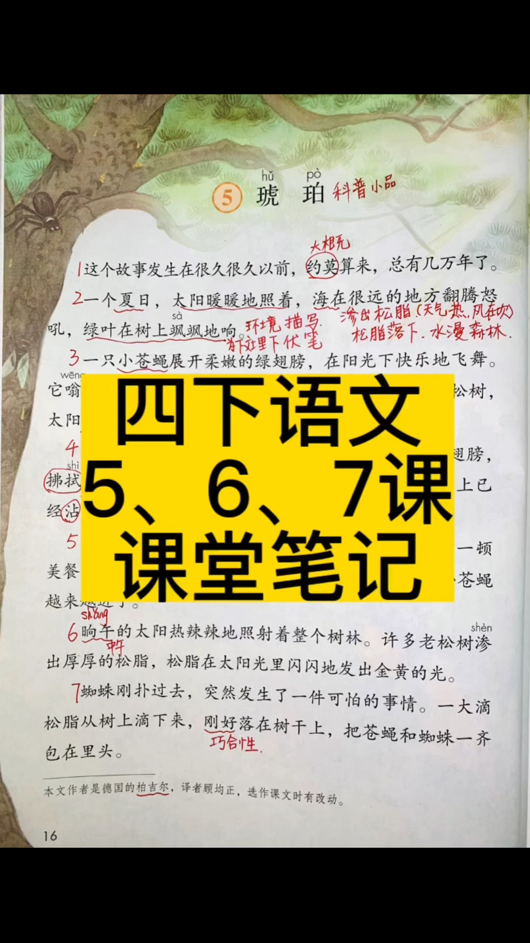 四年级下册语文课堂笔记