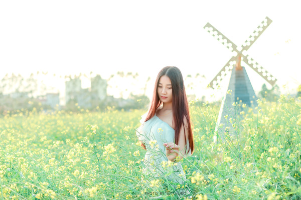 图片[23]-田园花香-六色网