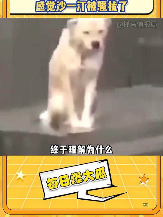 终于理解为什么女主播不愿意和男主播打pk了