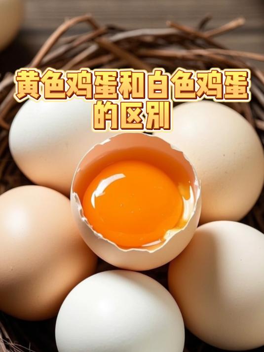 黄色鸡蛋和白色鸡蛋的区别