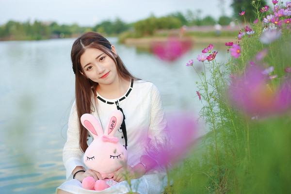 图片[22]-格桑花-六色网