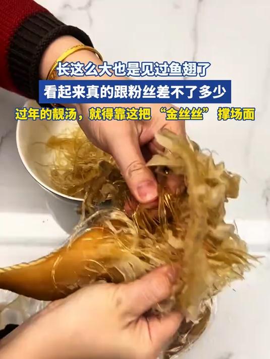 长这么大也是见过鱼翅了,过年的靓汤,就得靠这“金丝丝”撑场面