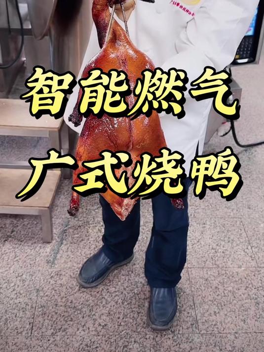 劲恒·智能燃气烤鸭炉,智能变频更加节约成本