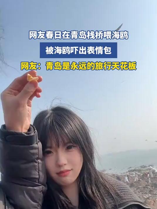 网友春日在青岛栈桥喂海鸥，被海鸥吓出表情包，网友：青岛是永远的旅行天花板#花满春城我代言#