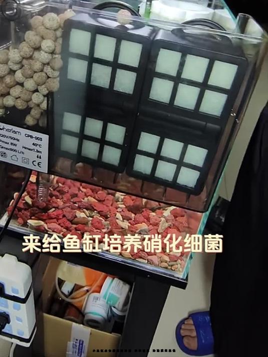 小鱼缸必备壁挂过滤器 安装简单 除油膜效果佳