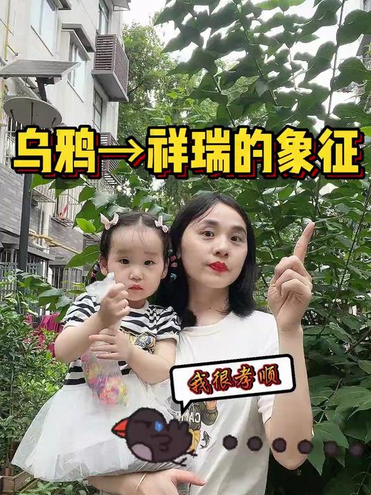你们知道吗?原来乌鸦是祥瑞的象征!别再误解它了!