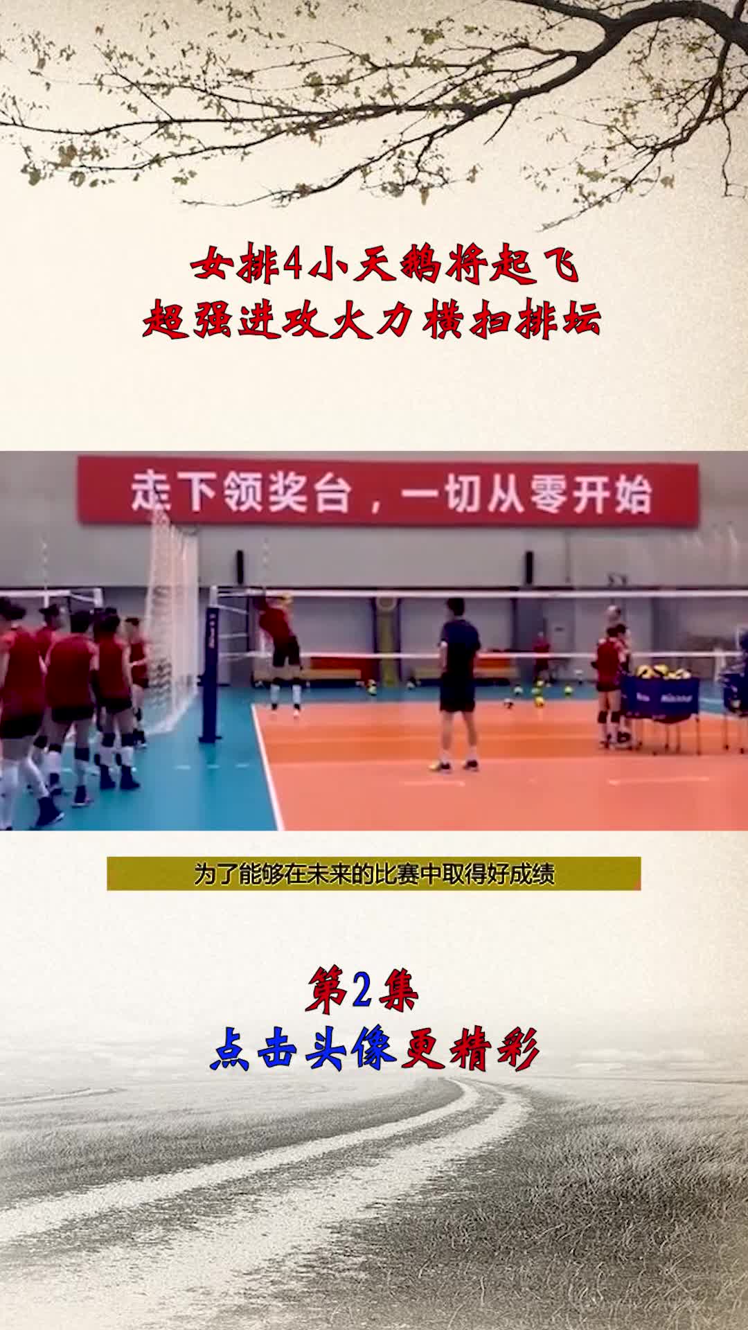 女排4小天鹅将起飞,超强进攻火力横扫排坛