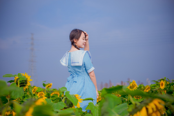 图片[3]-向日葵少女-六色网