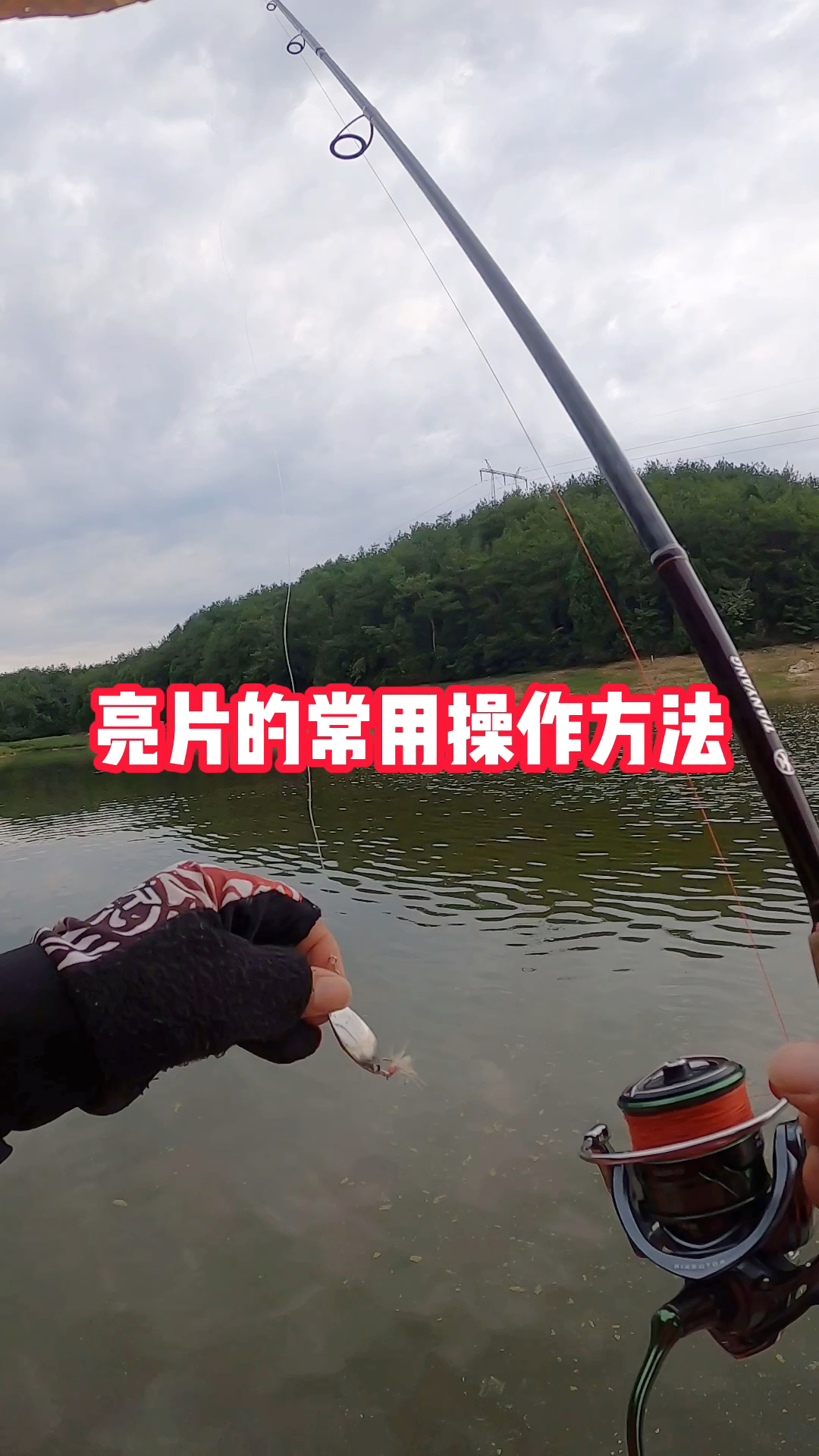 路亚钓鱼,亮片的常用操作方法。