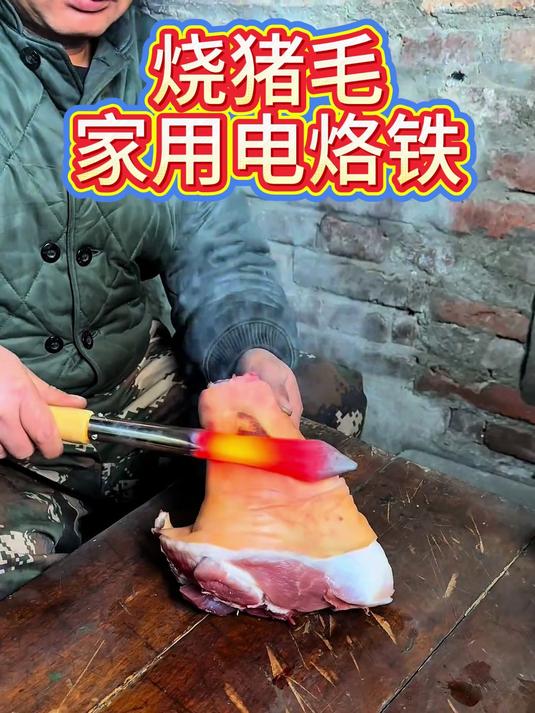 家用电烙铁除毛工具猪皮猪脚去毛小型烧肉器烫猪蹄#好物推荐##烙肉器去毛神器#