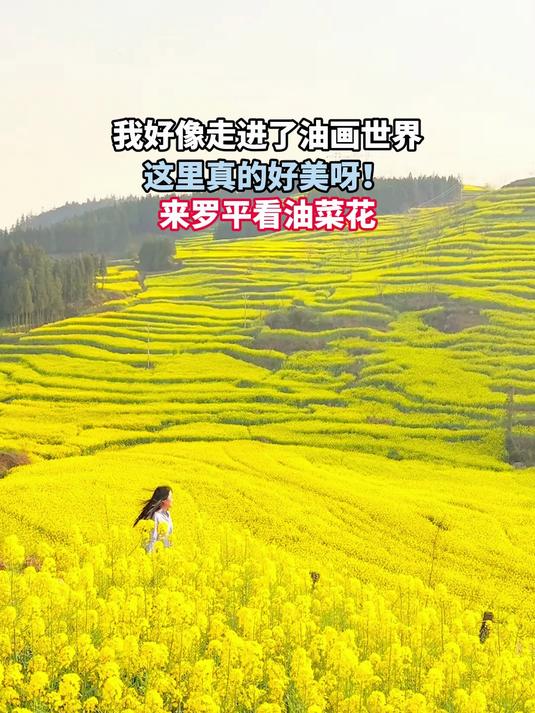 我好像走进了油画世界,这里真的好美呀!来罗平看油菜花