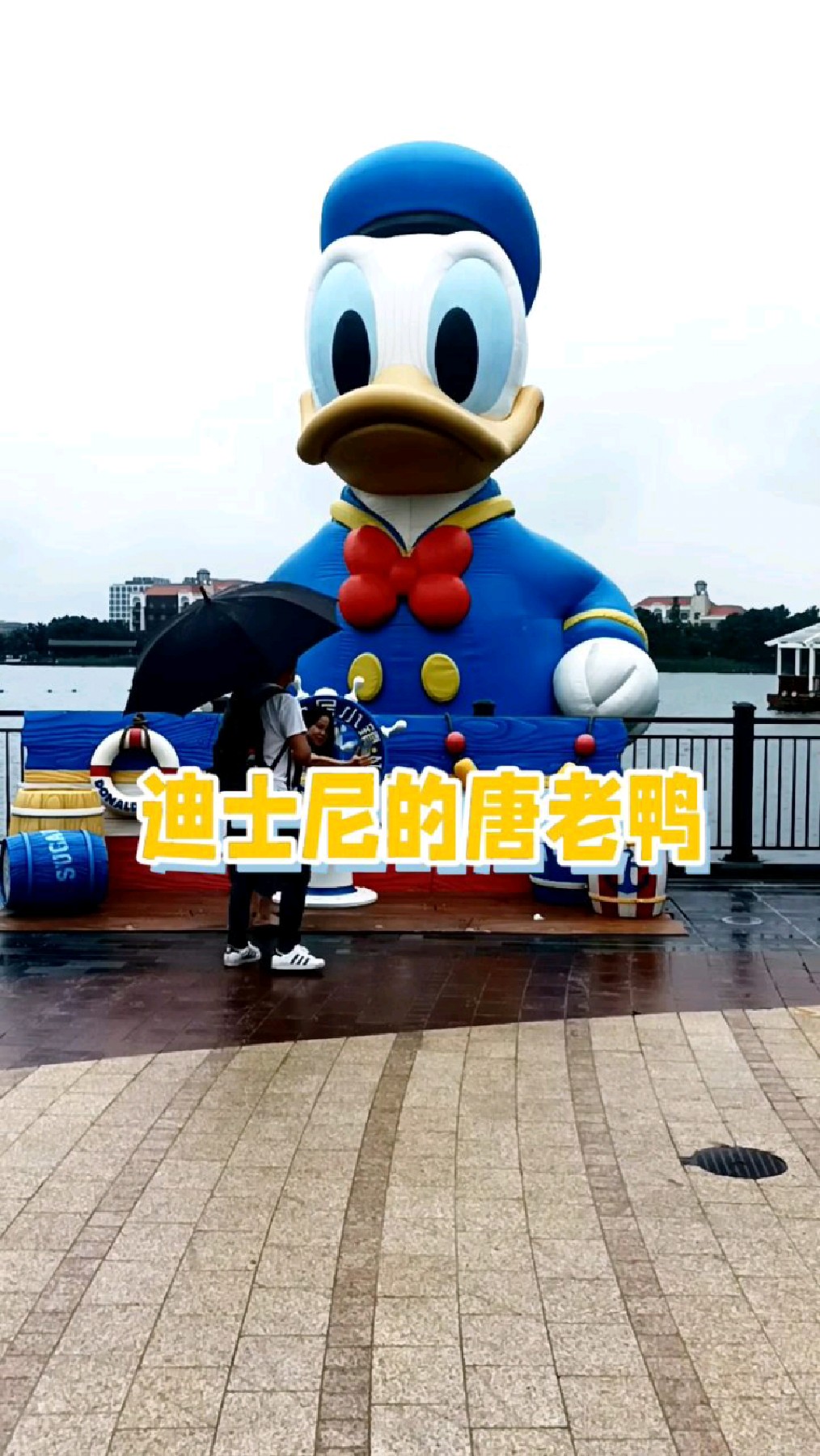 搞笑它是认真的,迪士尼的唐老鸭
