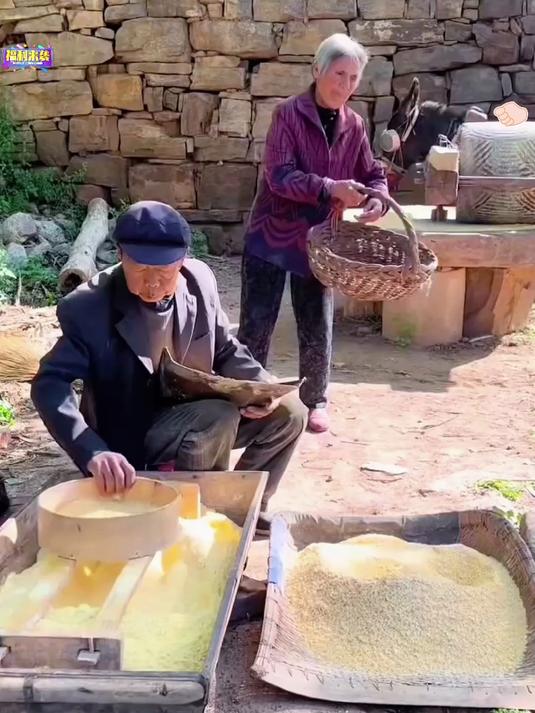 玉米面_新鲜现磨的玉米面粉蒸馒头擀面条做饺子玉米香味浓郁!
