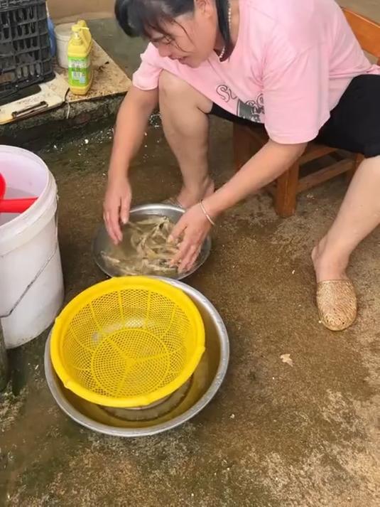 蛏子干炒丝瓜,有吃过的吗?来跟我一起做吧