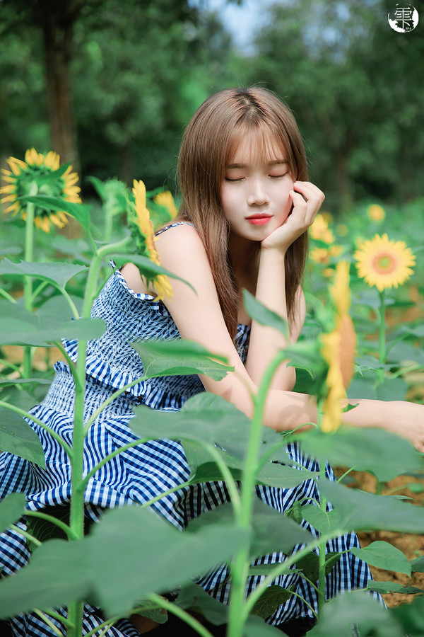 图片[11]-向日葵的少女-六色网