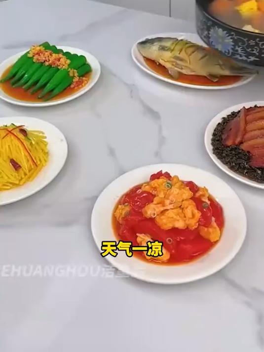 大号可折叠家用保温菜罩 冬季必备 厨房防尘餐桌遮菜神器