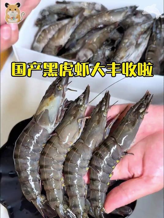 深海黑虎虾,鲜掉眉毛不夸张