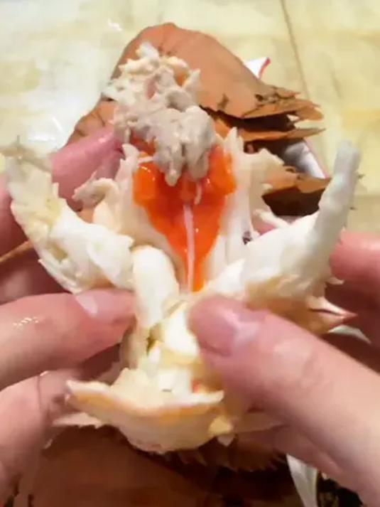 琵琶虾季来啦!外形独特肉鲜美,做法多样超满足