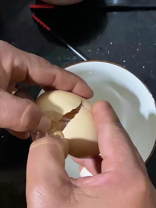 科普各种蛋