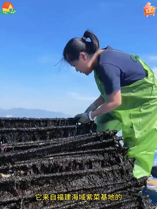 懒人速食紫菜汤 搭配虾米 5 分钟搞定一餐饭