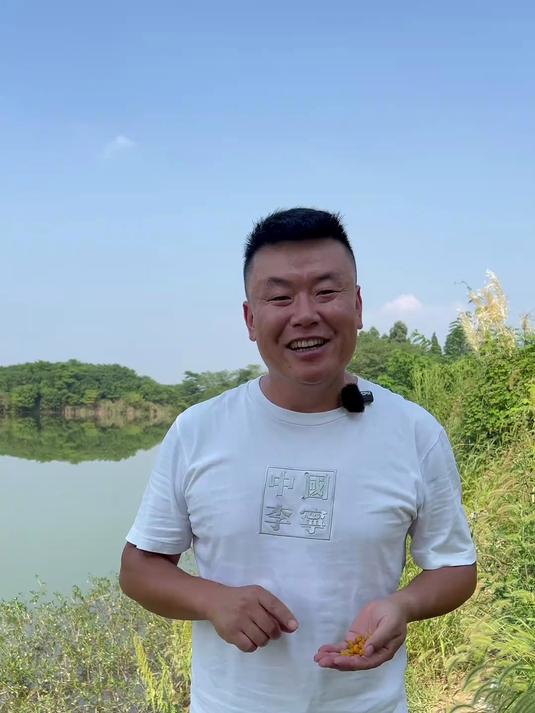 挂玉米调漂完整版