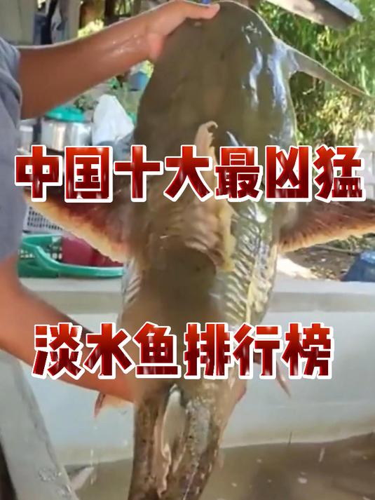 中国十大最凶猛的淡水鱼排行榜