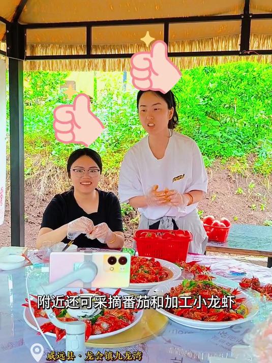 「内江」网络人士走进龙会镇钓虾摘番茄