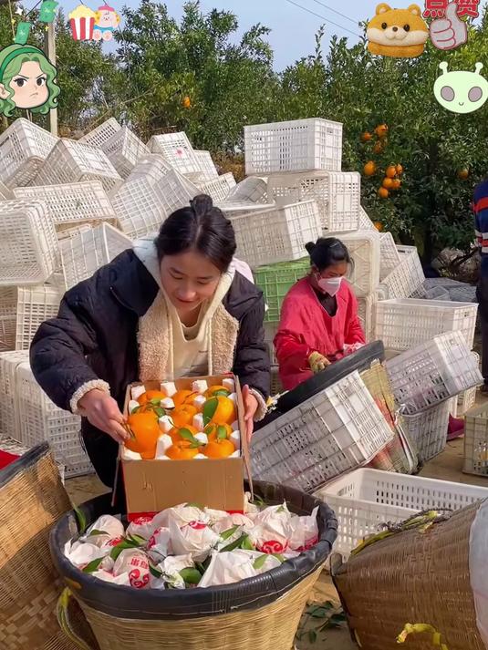 正宗耙耙柑!皮薄肉嫩爆汁,清甜无酸超解腻