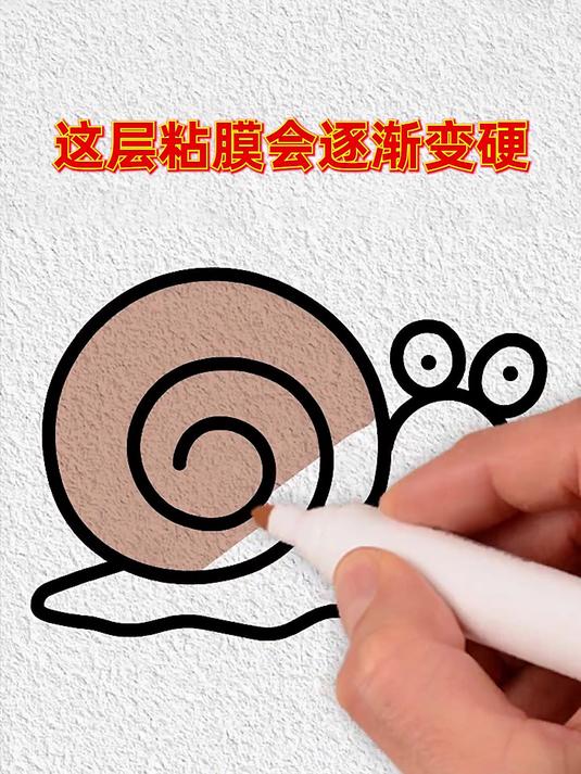 蜗牛也是一种需要冬眠的动物,但是蜗牛冬眠并不是为了抵御寒冷