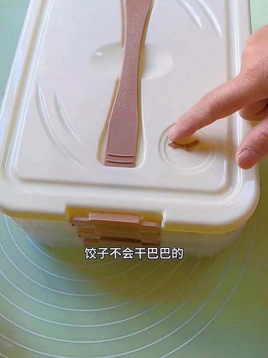自从有了这个饺子盒,放冰箱冷冻特别省地方,整齐又干净