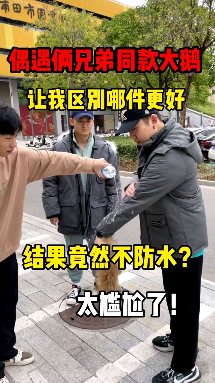 加拿大鹅羽绒服如何分辨好坏?
