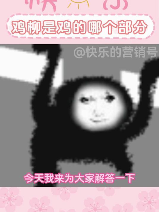 冷知识鸡柳不是鸡的刘海