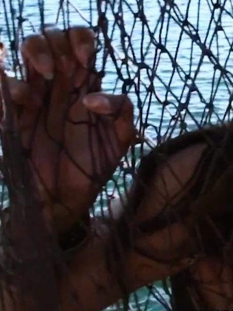 美人鱼的尾巴被渔夫砍掉了