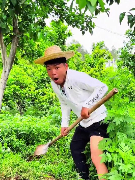 山村厨神版酱油鸡上线 鸡肉嫩到打滑,酱汁拌饭3碗不够吃