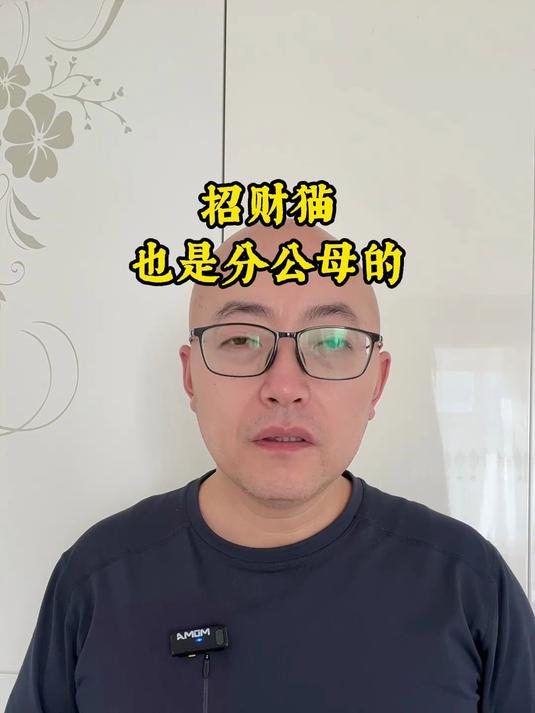 招财猫也是分公母的