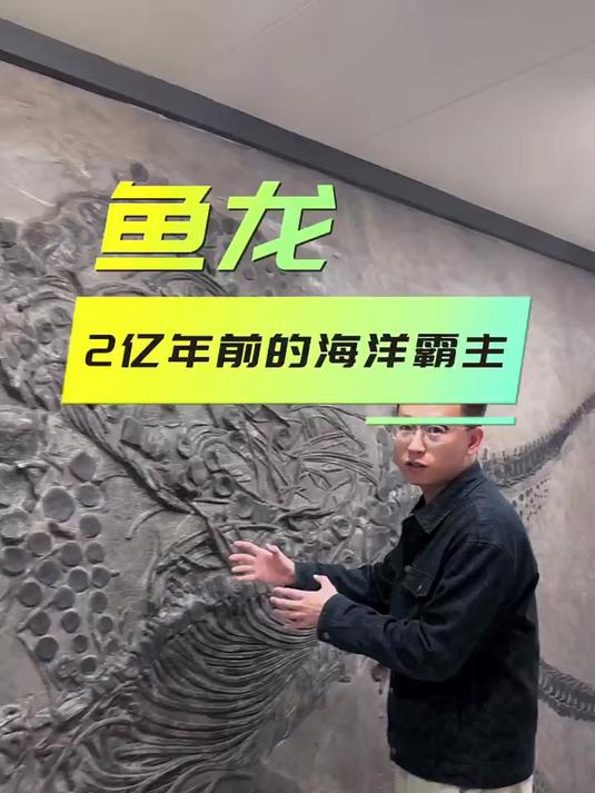 古生物化石:鱼龙,2亿年前的海洋霸主